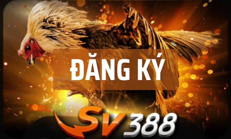 Nhà cái đá gà trực tuyến SV388