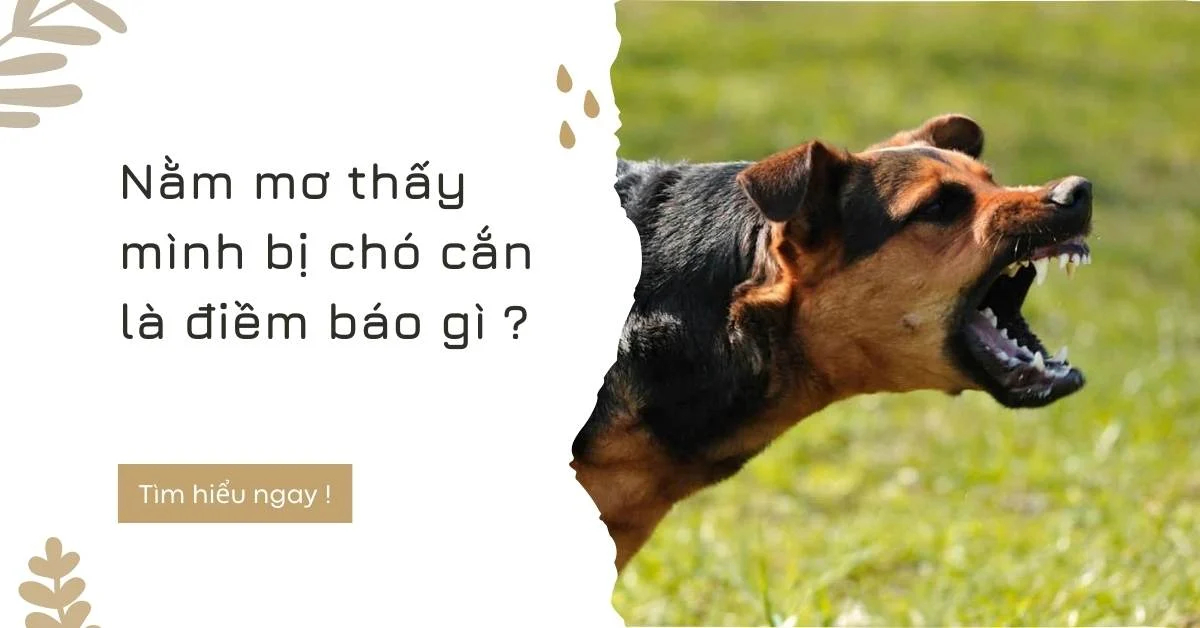 Mơ thấy chó cắn