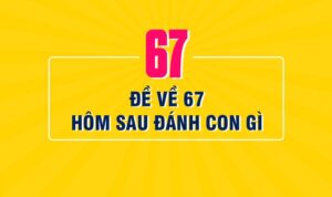 de-ve-67-hom-sau-danh-lo-gi