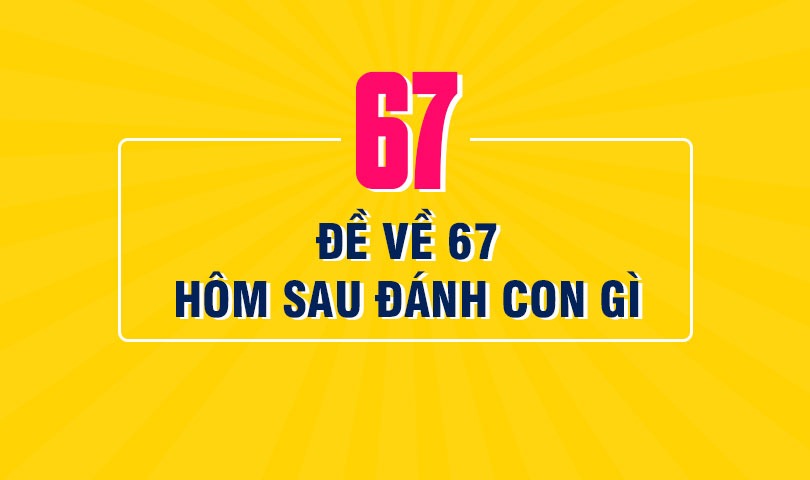 de-ve-67-hom-sau-danh-lo-gi